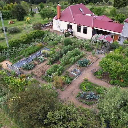 Cherry Top Farmstay - Boutique Eco Village Lilydale エクステリア 写真