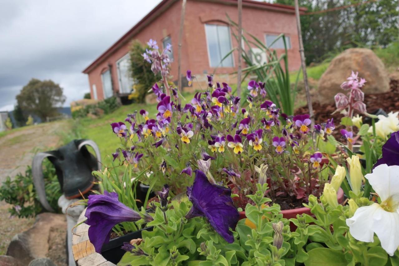 Cherry Top Farmstay - Boutique Eco Village Lilydale エクステリア 写真