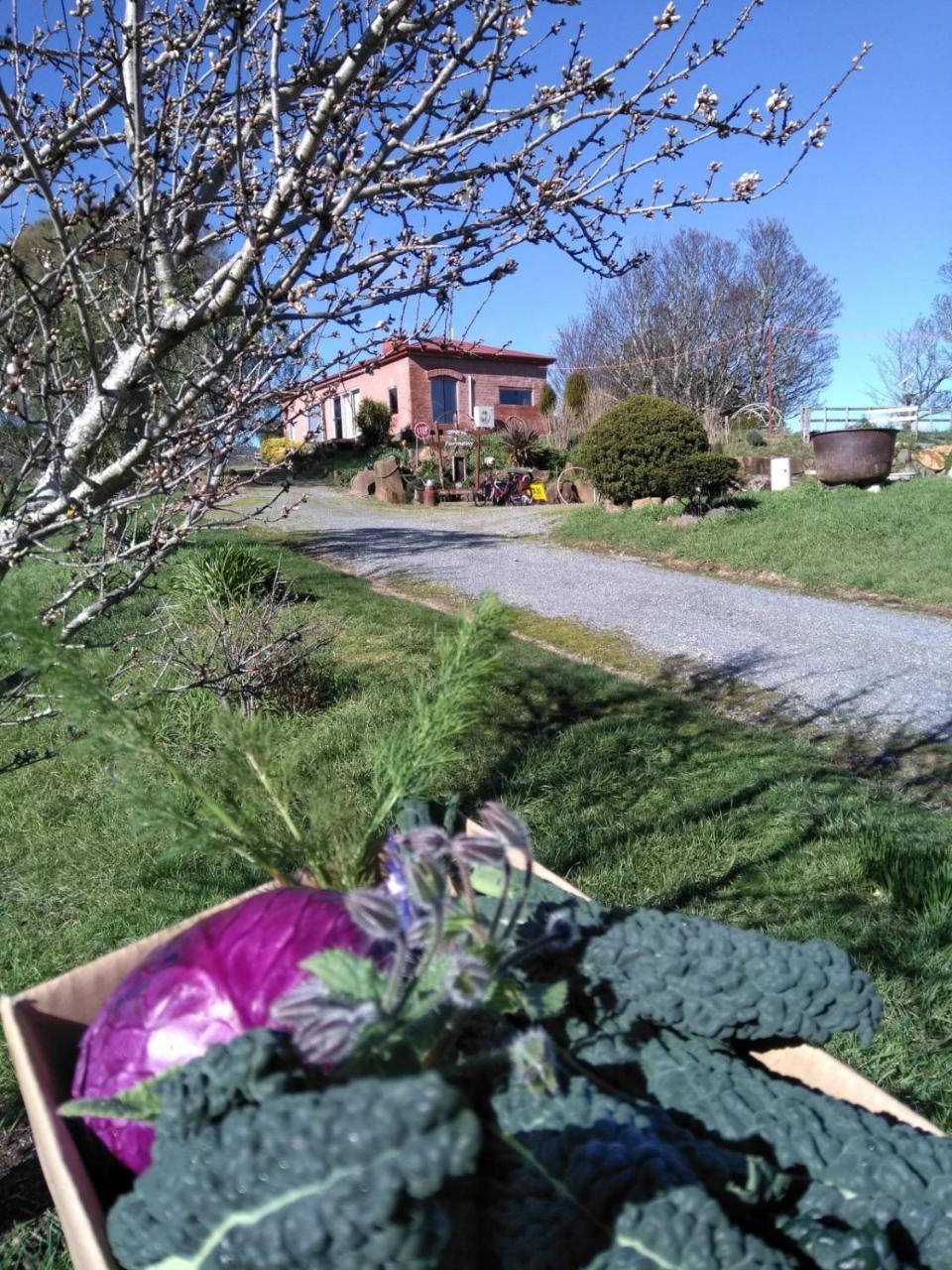 Cherry Top Farmstay - Boutique Eco Village Lilydale エクステリア 写真