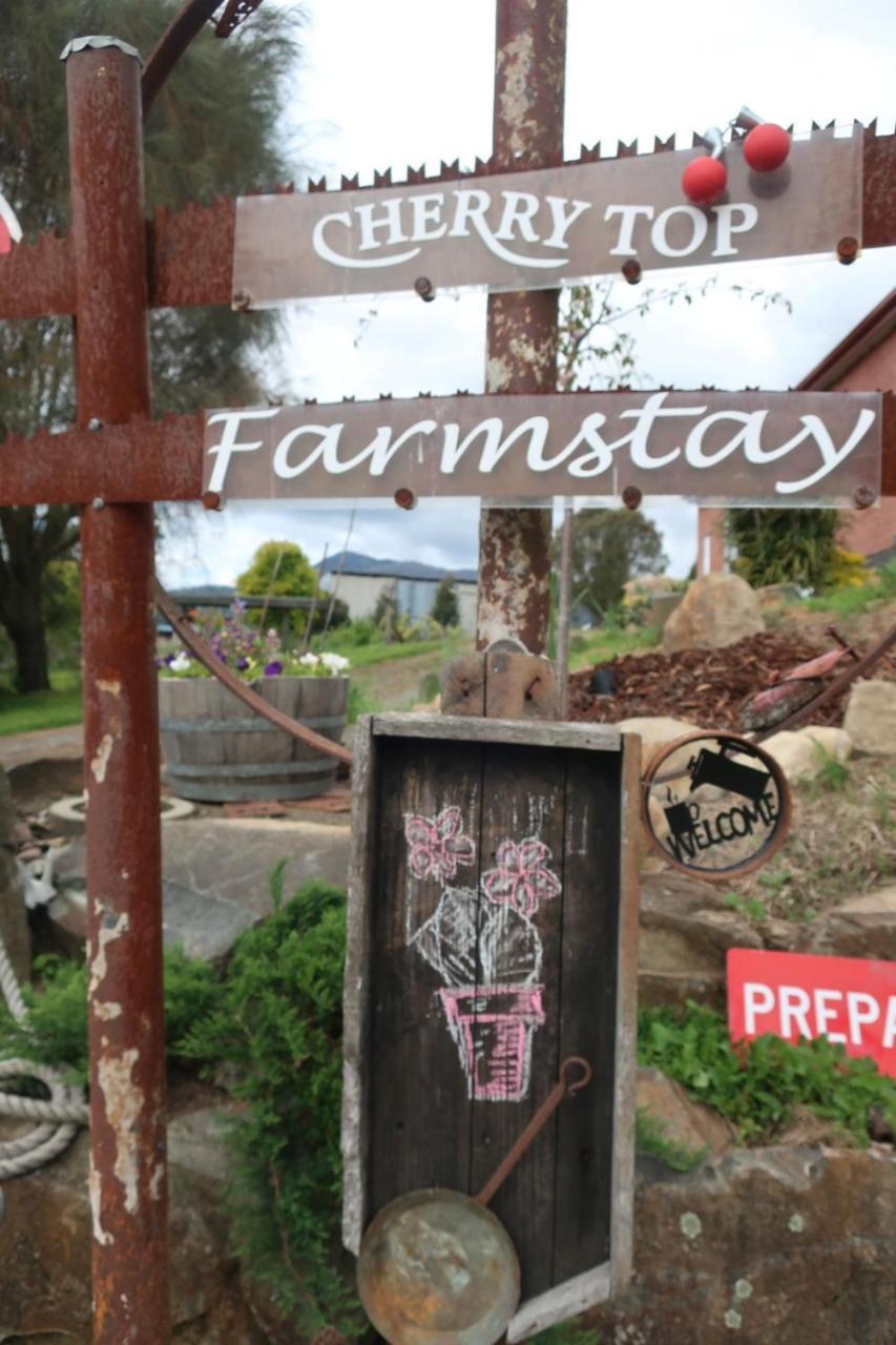 Cherry Top Farmstay - Boutique Eco Village Lilydale エクステリア 写真