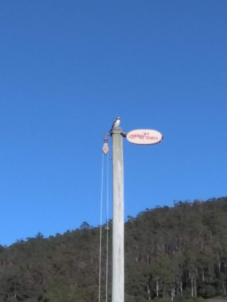 Cherry Top Farmstay - Boutique Eco Village Lilydale エクステリア 写真