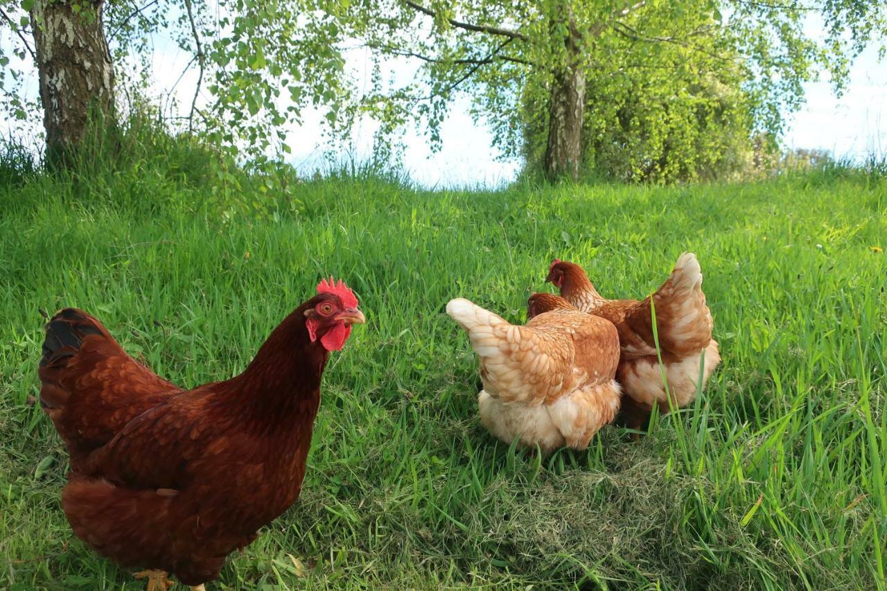 Cherry Top Farmstay - Boutique Eco Village Lilydale エクステリア 写真