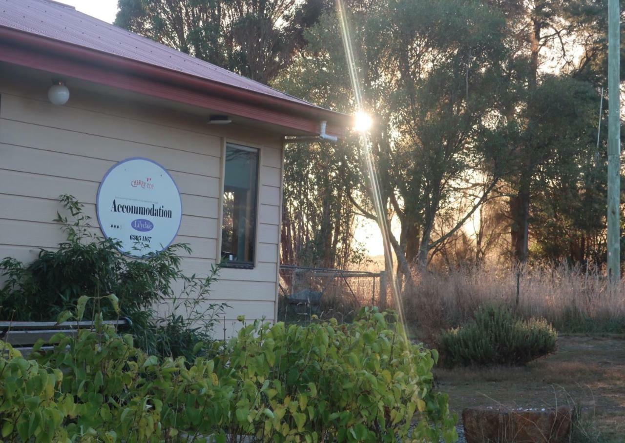Cherry Top Farmstay - Boutique Eco Village Lilydale エクステリア 写真