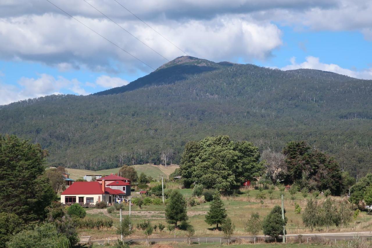 Cherry Top Farmstay - Boutique Eco Village Lilydale エクステリア 写真